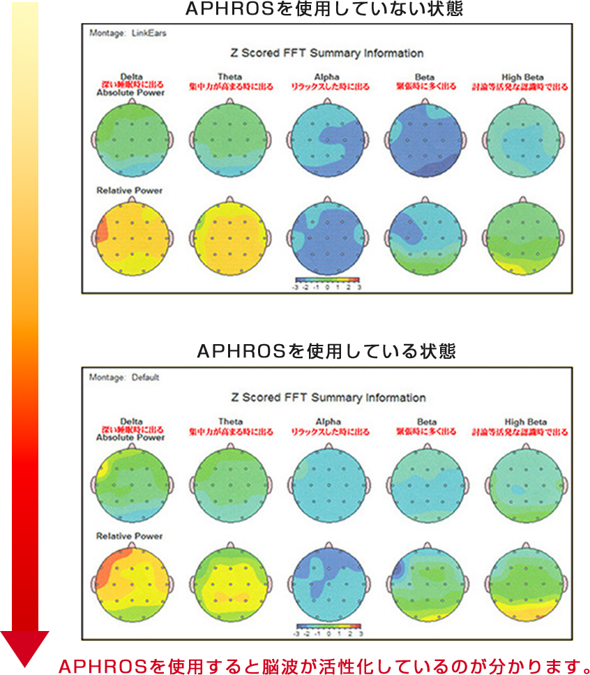 脳の活性実験の結果